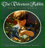 The Velveteen Rabbit - Illustrated By Donna Green