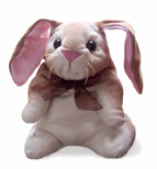The Velveteen Rabbit ... Order yours today!