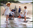 At the Sea Shore by artist Donna Green