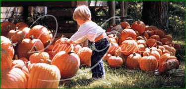 In The Pumpkin Patch