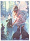 Fairy Magic