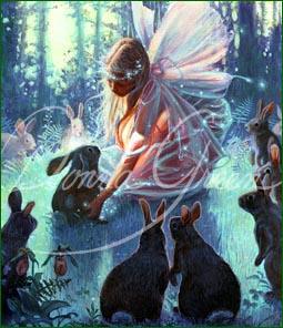 Fairy Magic